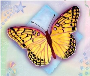 butterfly 1